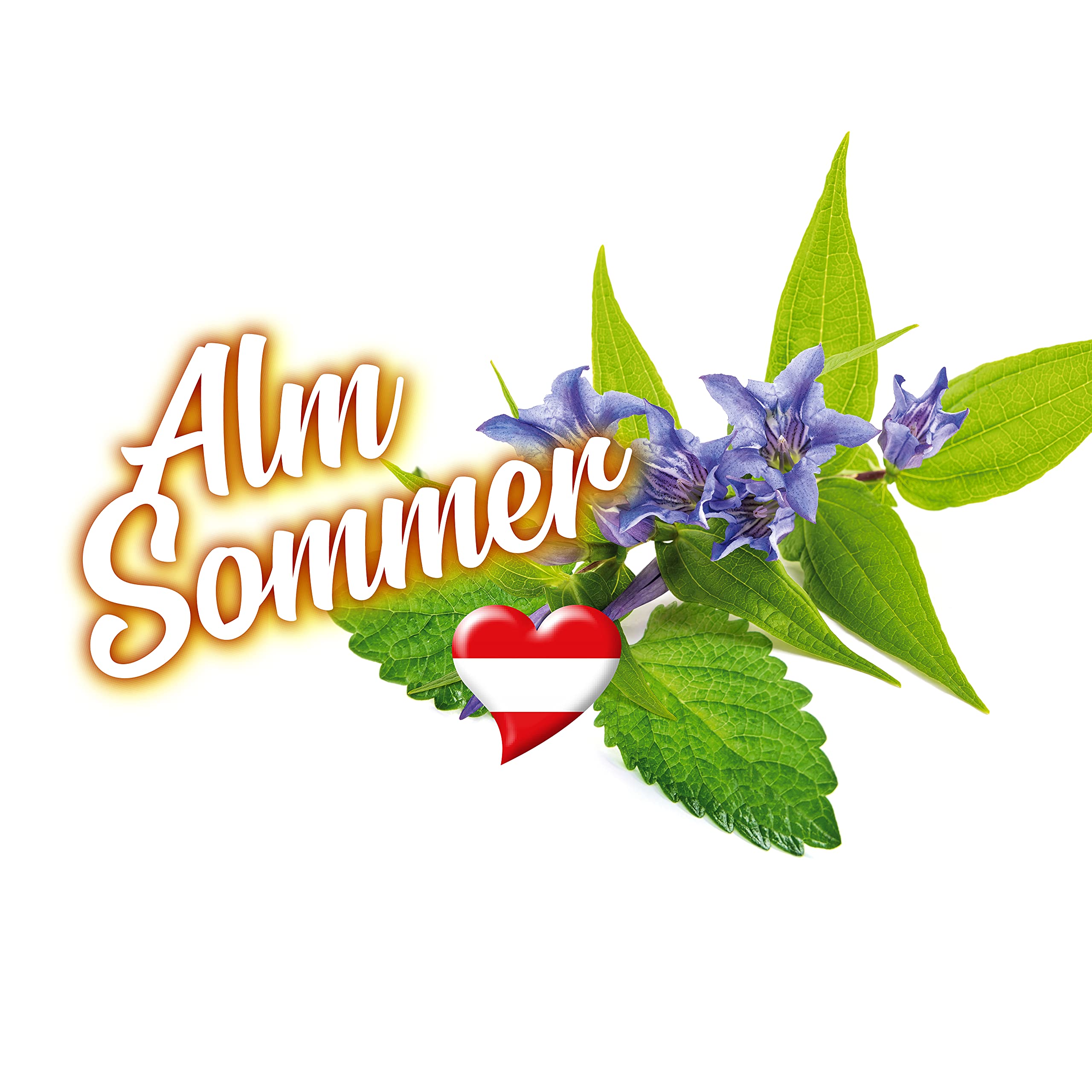 sonax-scheibenreiniger-almsommer-gebrauchsfertig-3-l-bergkr-uter image 5