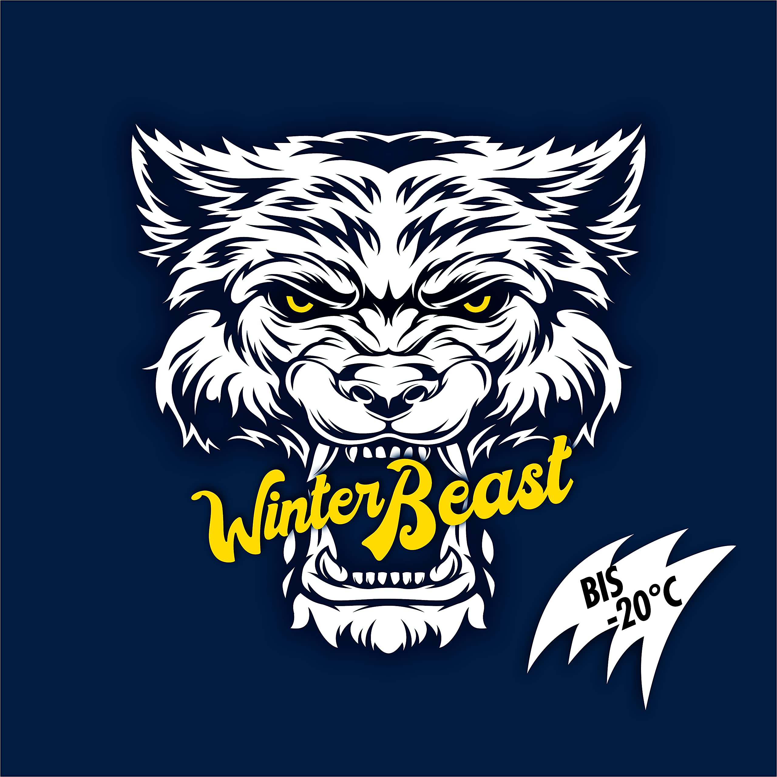 sonax-winterbeast-antifrost-scheibenreiniger-3-l-20-c-citrus image 8